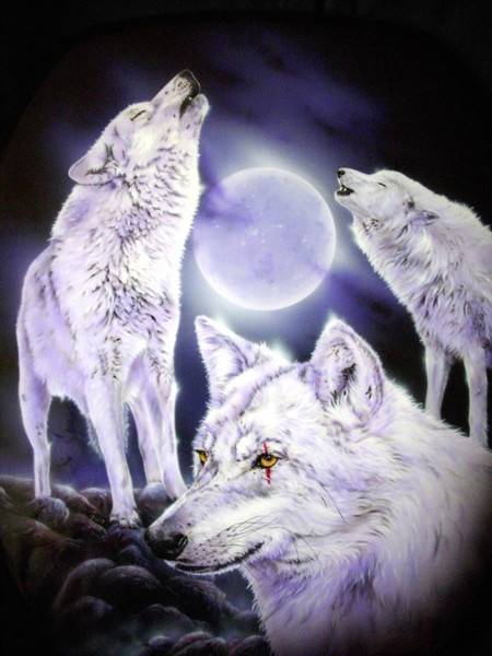 'weiße Wölfe